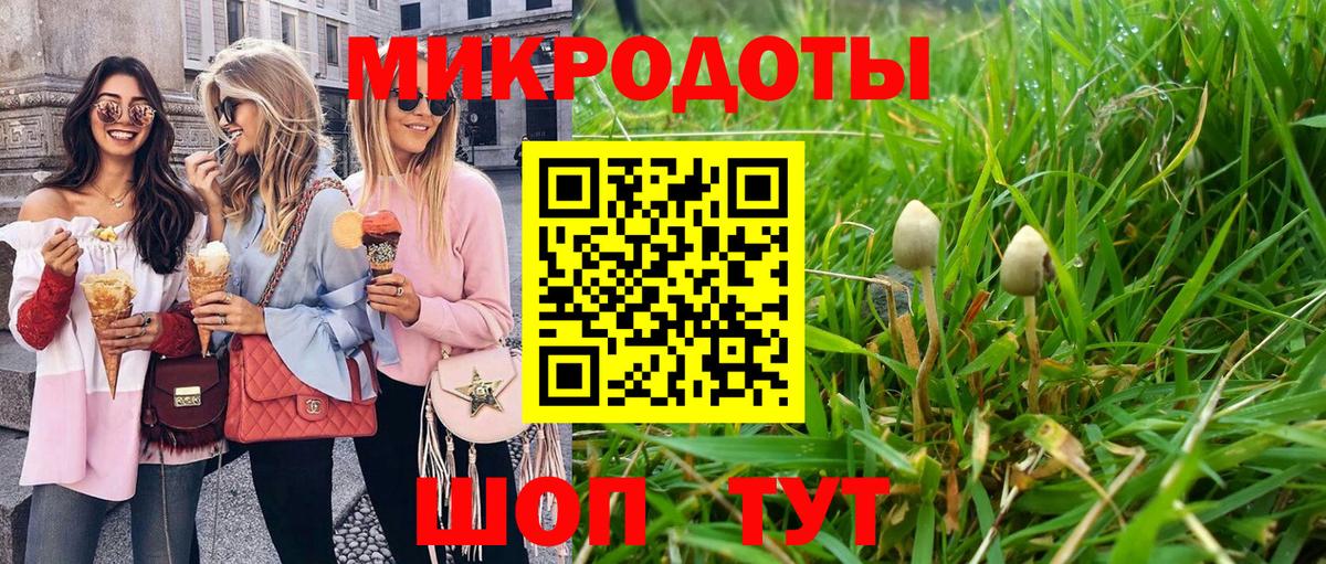 Псилоцибиновые грибы Magic Shrooms  Псилоцибиновые грибы GOLDEN TEACHER  где продают наркотики  Вход с VPN  Тимашёвск 